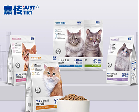 辅导带教新锐宠物品牌